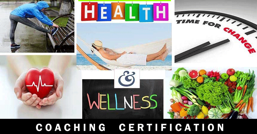 how to start a health and wellness coaching business